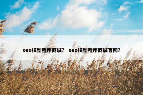 seo模型程序商城？ seo模型程序商城官网？
