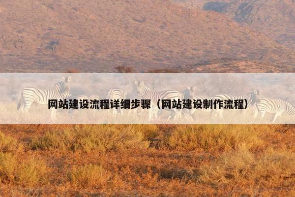 网站建设流程详细步骤（网站建设制作流程）