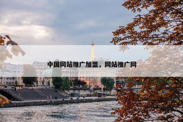 中国网站推广加盟，网站推广网