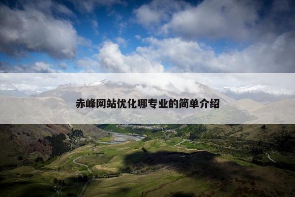 赤峰网站优化哪专业的简单介绍