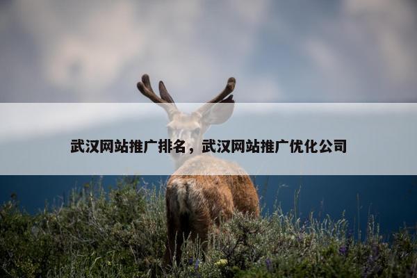 武汉网站推广排名，武汉网站推广优化公司