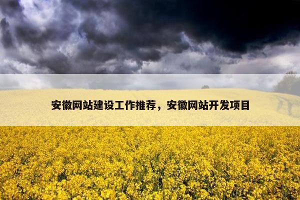 安徽网站建设工作推荐，安徽网站开发项目