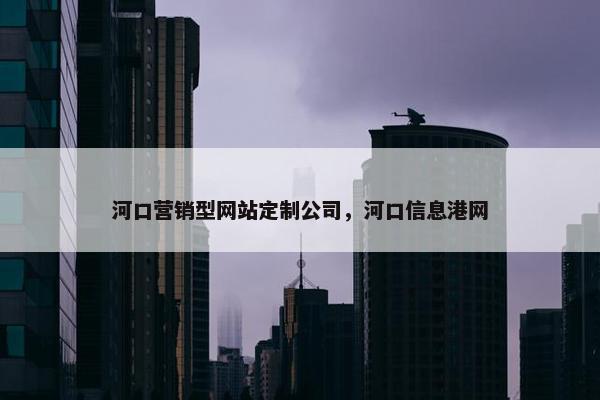 河口营销型网站定制公司，河口信息港网