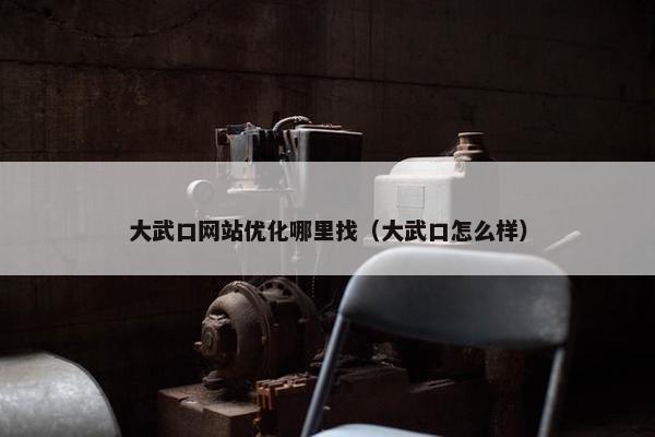 大武口网站优化哪里找（大武口怎么样）