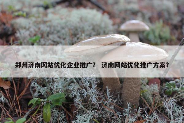 郑州济南网站优化企业推广？ 济南网站优化推广方案？