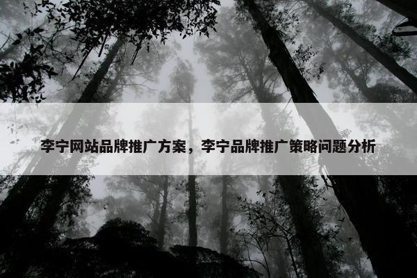 李宁网站品牌推广方案，李宁品牌推广策略问题分析