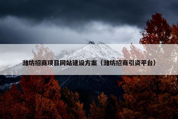 潍坊招商项目网站建设方案（潍坊招商引资平台）