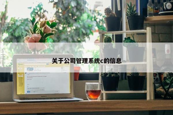 关于公司管理系统c的信息