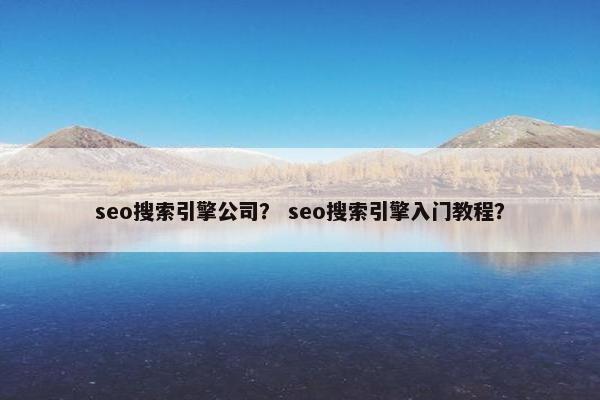 seo搜索引擎公司？ seo搜索引擎入门教程？
