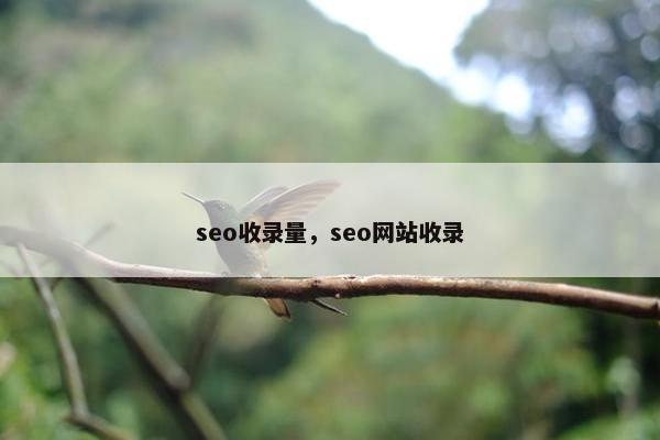 seo收录量，seo网站收录