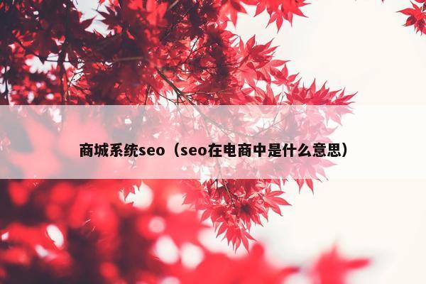 商城系统seo（seo在电商中是什么意思）