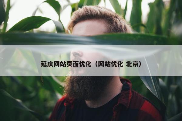 延庆网站页面优化（网站优化 北京）