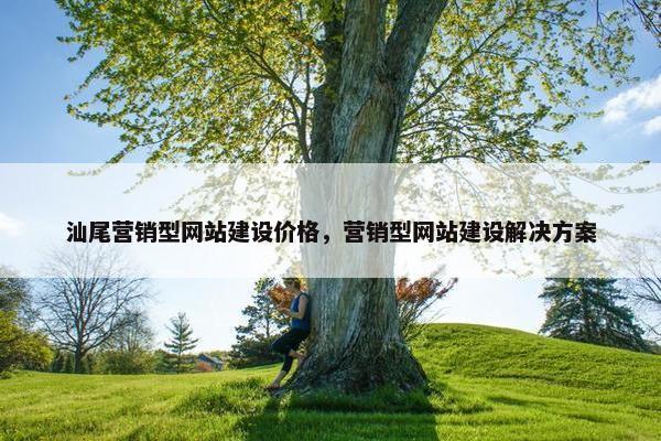 汕尾营销型网站建设价格，营销型网站建设解决方案