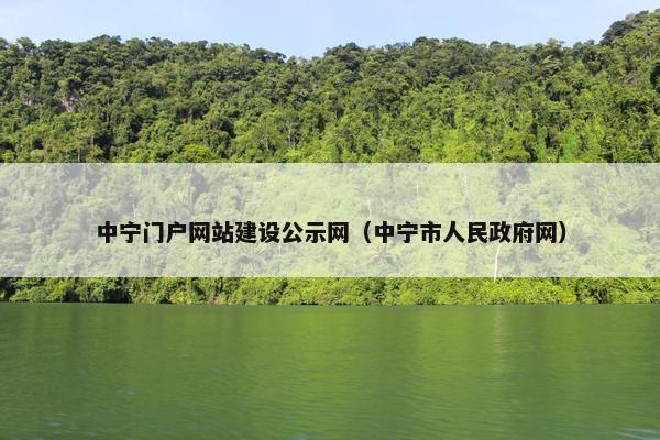 中宁门户网站建设公示网（中宁市人民政府网）