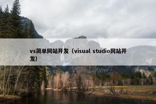 vs简单网站开发（visual studio网站开发）