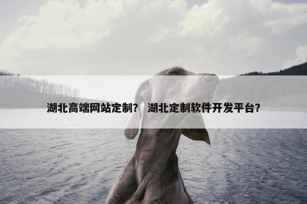 湖北高端网站定制？ 湖北定制软件开发平台？