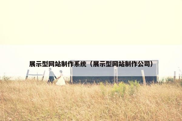 展示型网站制作系统（展示型网站制作公司）