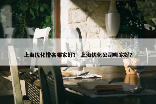上海优化排名哪家好？ 上海优化公司哪家好？