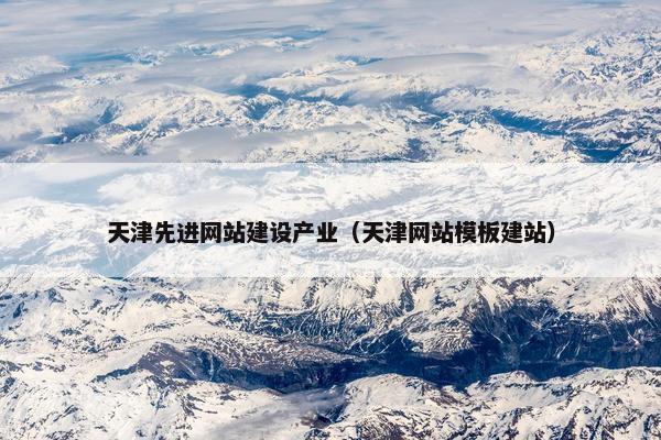 天津先进网站建设产业（天津网站模板建站）