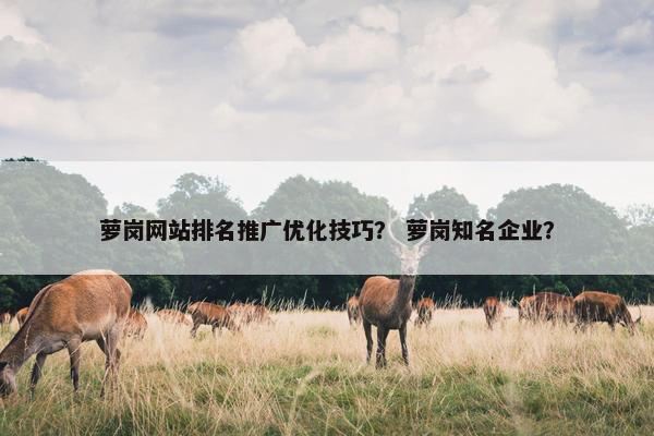 萝岗网站排名推广优化技巧？ 萝岗知名企业？