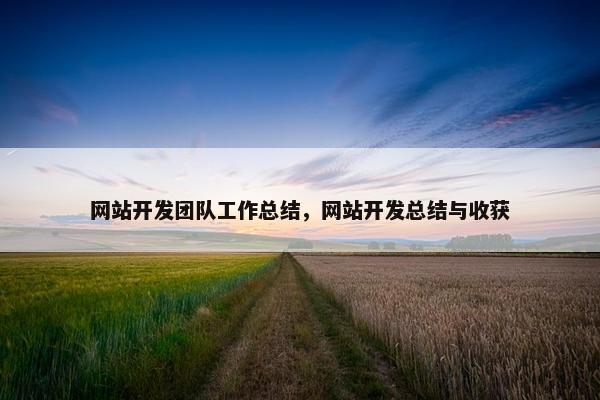 网站开发团队工作总结，网站开发总结与收获