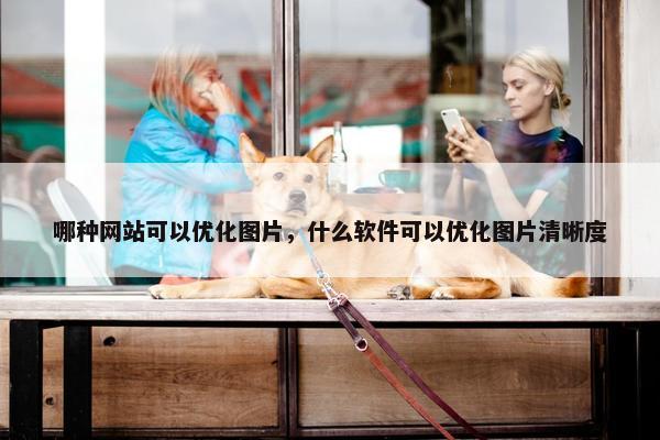 哪种网站可以优化图片，什么软件可以优化图片清晰度
