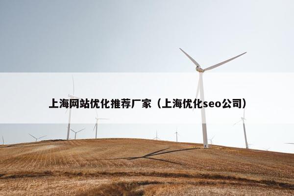 上海网站优化推荐厂家（上海优化seo公司）