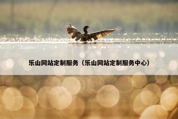 乐山网站定制服务（乐山网站定制服务中心）