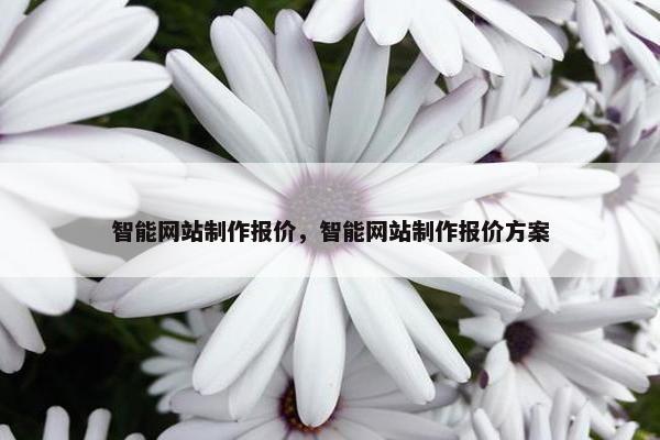 智能网站制作报价，智能网站制作报价方案