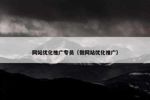 网站优化推广专员（做网站优化推广）