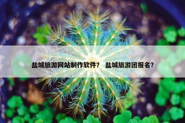 盐城旅游网站制作软件？ 盐城旅游团报名？