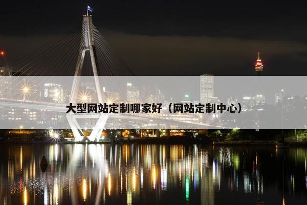大型网站定制哪家好（网站定制中心）
