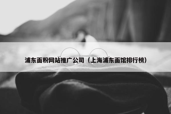 浦东面粉网站推广公司（上海浦东面馆排行榜）