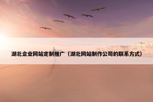 湖北企业网站定制推广（湖北网站制作公司的联系方式）