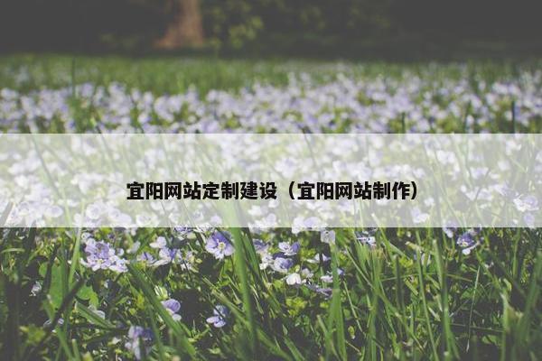 宜阳网站定制建设（宜阳网站制作）