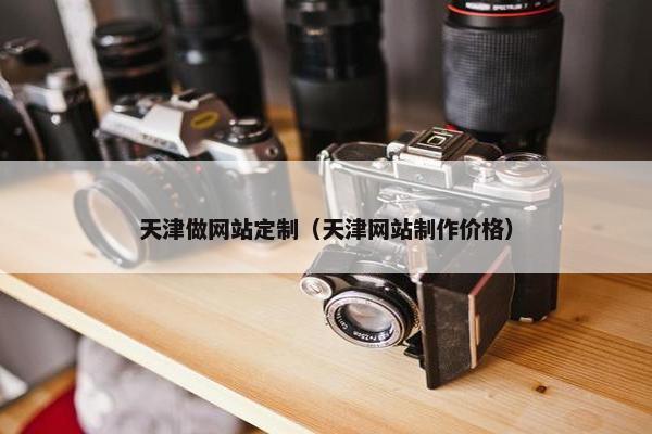 天津做网站定制（天津网站制作价格）