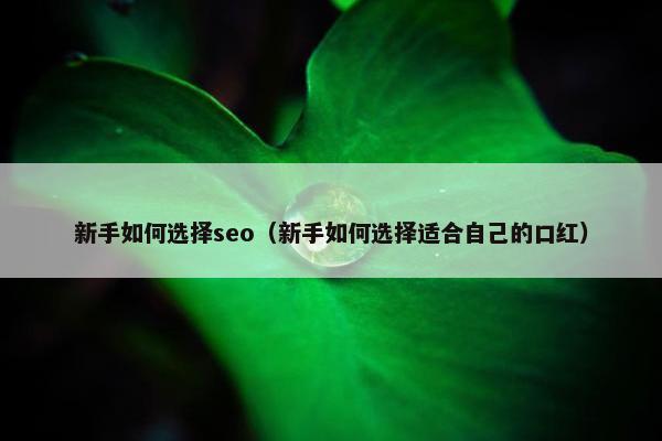 新手如何选择seo（新手如何选择适合自己的口红）