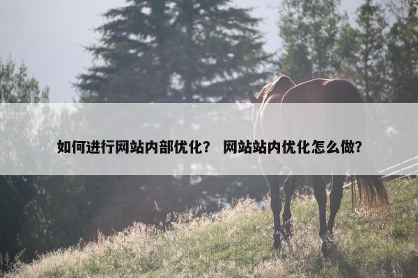如何进行网站内部优化？ 网站站内优化怎么做？