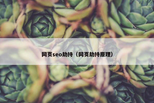 网页seo劫持（网页劫持原理）