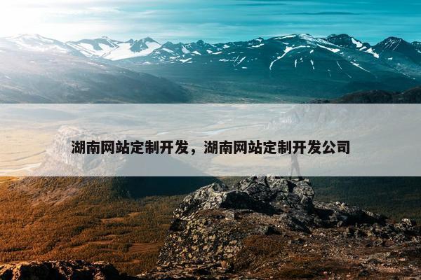 湖南网站定制开发，湖南网站定制开发公司