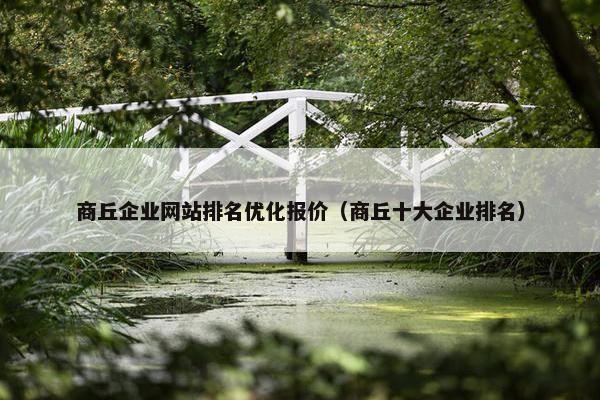 商丘企业网站排名优化报价（商丘十大企业排名）