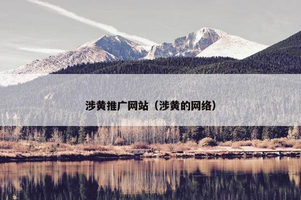 涉黄推广网站（涉黄的网络）