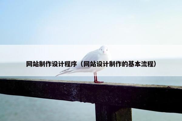网站制作设计程序（网站设计制作的基本流程）