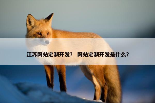 江苏网站定制开发？ 网站定制开发是什么？