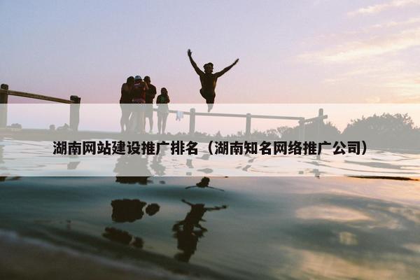 湖南网站建设推广排名（湖南知名网络推广公司）