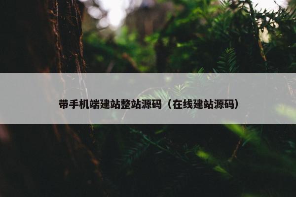 带手机端建站整站源码（在线建站源码）