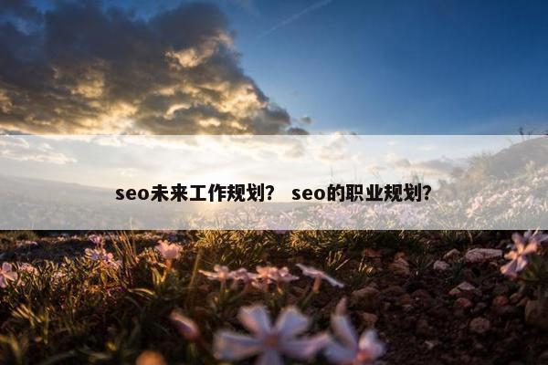 seo未来工作规划？ seo的职业规划？