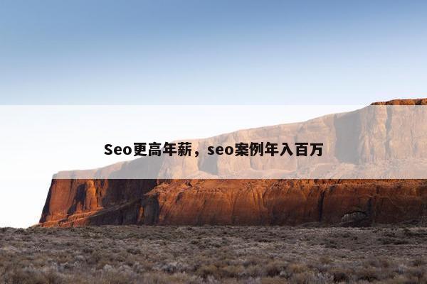 Seo更高年薪，seo案例年入百万