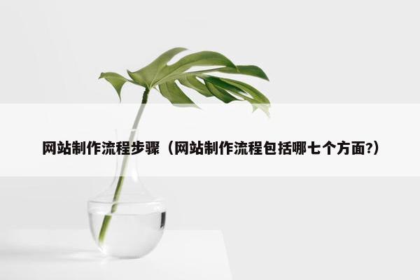 网站制作流程步骤（网站制作流程包括哪七个方面?）