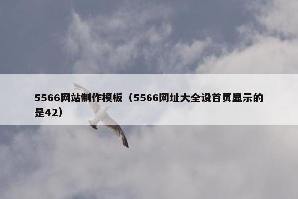 5566网站制作模板（5566网址大全设首页显示的是42）